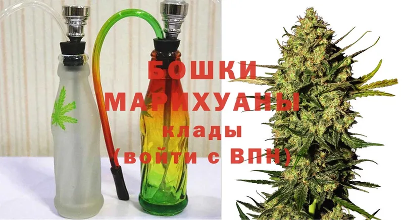 где найти   Мичуринск  Каннабис SATIVA & INDICA 